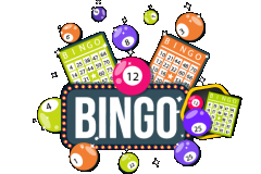 Bingo Blitz Pro Gaming Platform